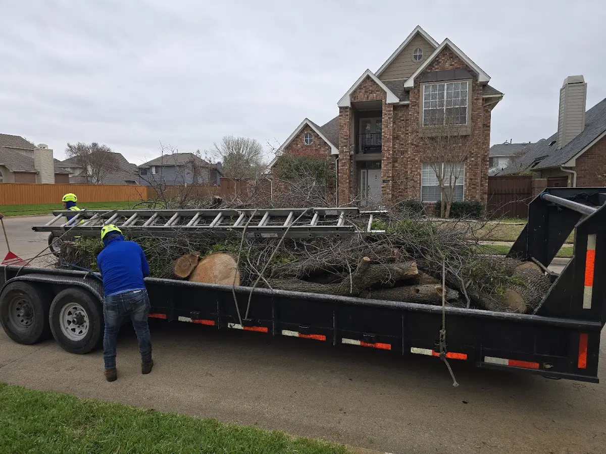 Expert Tree Fertilization with proper safety equipment in Rutherford